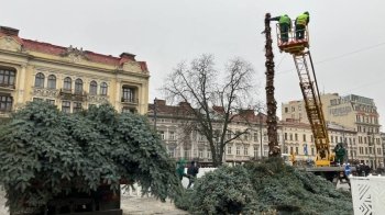 У Львові демонтували головну міську ялинку (відео)