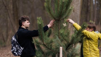 У Стрийському парку відкрили Пагорб памʼяті на честь полеглих захисників
