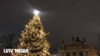 Минулорічна ялинка у Львові