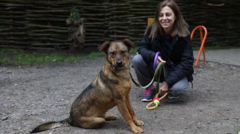 У Львові волонтери шукають господарів для евакуйованих з Херсона тварин