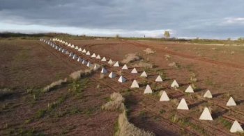 «Лінія Хреніна»: як білоруси будують захисні споруди неподалік від кордону з Україною та Польщею