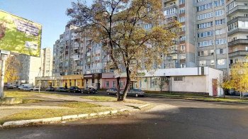 Стрибала по чужих авто і облаяла поліцію: штраф мешканці Червонограда