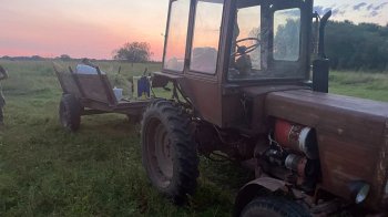 На тракторі через кордон: українець намагався під сіном вивезти 5 тис. пачок цигарок до Польщі