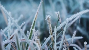 На Львівщині 15 грудня синоптики прогнозують ожеледицю на дорогах на мороз вночі
