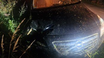 На Львівщині постраждала 11-річна дівчинка внаслідок ДТП Opel з возом