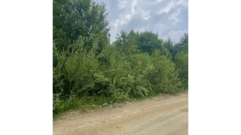 Співвласники парку розваг “Уруру” купили за 8 млн грн ще дві ділянки в Східниці