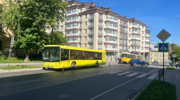 У Львові водій автобуса збив 78-річну пенсіонерку
