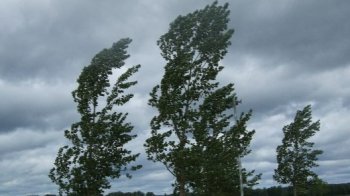 На Львівщині на 6 травня синоптики прогнозують шквальний вітер та град