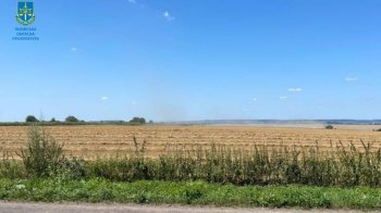 Збитки 13 млн грн на Львівщині: деталі справи про продаж зерна