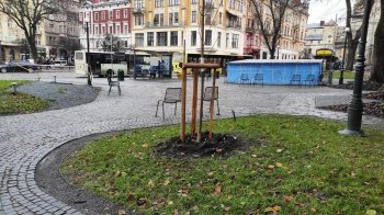 Урбаністи показали, як облаштовують фонтан на площі Галицькій в центрі Львова (фото)