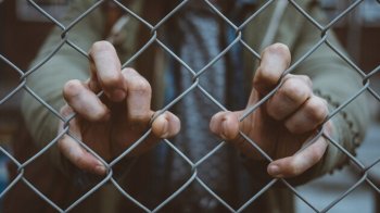 На зґвалтування дівчинки у Закарпатті відреагував Уповноважений ВР: він обіцяє покарати винних