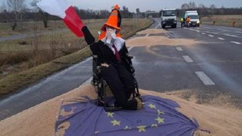 Розсипане зерно з українських вантажівок, які розрізали польські фермери, фото Рафала Меклера