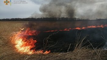 За добу на Львівщині загасили три пожежі сухої трави