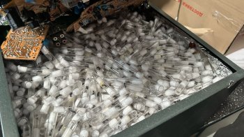 У Львові оштрафували закарпатця за спробу переслати 2,5 тисячі мурах за кордон