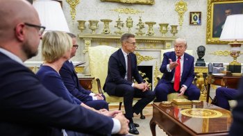 Під покровом асертивності