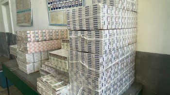 У «Шегинях» житомирянин віз до Польщі 130 тисяч пачок сигарет