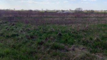 Земельну ділянку на Жовківщині, яка належала росіянину, повернули у державну власність