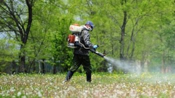 У Львові впродовж трьох днів оброблятимуть парки від кліщів