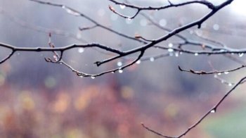 Прогноз погоди у Львові та області 4 грудня: туман, хмарно