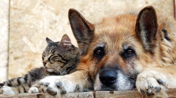 20 серпня: церковні свята, іменини, прикмети