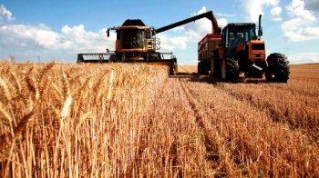 Польща продовжить заборону на імпорт українського зерна