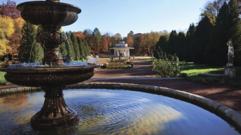 У Моршині міськрада розірвала договір на 42 млн грн з оновлення природного середовища курорту