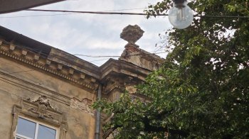 Крива липа. Фото - з гарячої лінії Львів