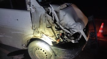 На Стрийщині водій буса врізався у гужову підводу (фото)