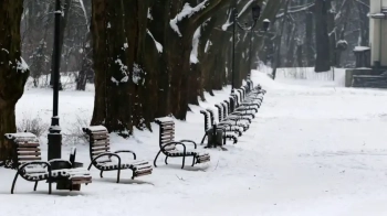 Зимовий парк Франка