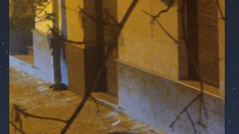 Вночі у центрі Львова вандали знищили вивіску (фото, відео)