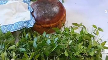 Весільний обряд зі Стрийщини внесли до переліку нематеріальної культурної спадщини