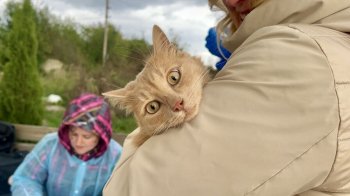 У Замарстинівському парку будуть безплатно вакцинувати тварин від сказу: як записатися