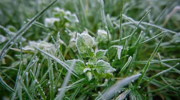 У Львові другу ніч поспіль фіксують аномально низьку температуру