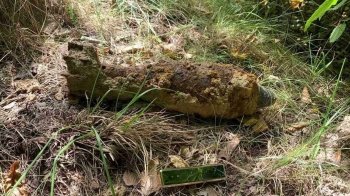 На Львівщині у трьох районах під час збирання грибів знайшли застарілі боєприпаси
