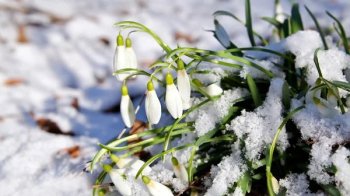 Зима продовжується: якою буде погода 6 березня на Львівщині