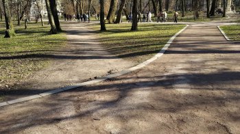 Львів’яни скаржаться на велосипедистів у парку Франка