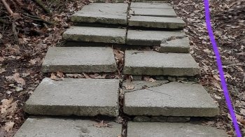 Львів’яни скаржаться на незадовільний стан хідника у Ботанічному саду «Лісотеху»