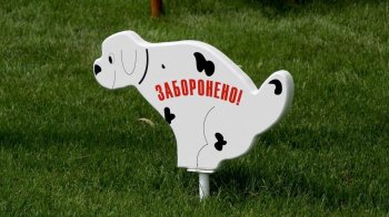 Вигул собак у Львові: працівники парків штрафуватимуть порушників