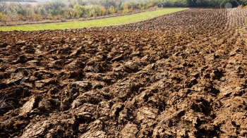 Прокуратура Золочівщини повернула громаді землю, яку захопили агровиробники з сусідньої області
