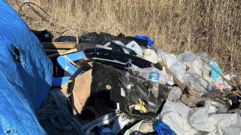 «Накопичує сміття, на зауваження не реагує»: львів’янка скаржиться на самовільне сміттєзвалище у Лисиничах