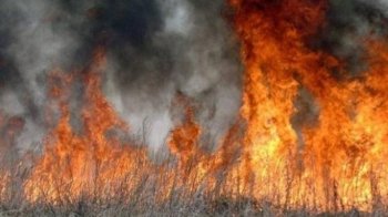 Ще 12 жителів Львівської області заплатять штрафи за спалювання сухостою - Максим Козицький