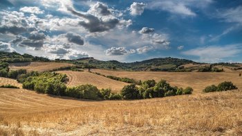 Якою буде погода на Львівщині у четвер, 16 червня