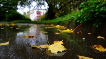 Погода у Львові та області 19 жовтня: дощ з мокрим снігом і пориви вітру