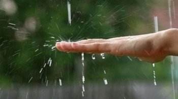 Дрібний дощ, але тепло: якою буде погода 31 травня на Львівщині