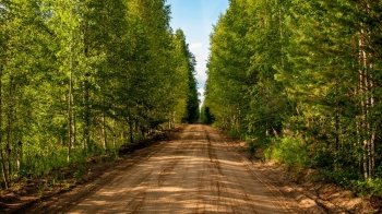 Дрогобицький лісгосп заплатить понад 6 млн грн за будівництво лісової дороги