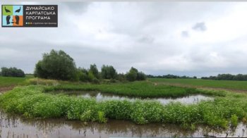 На Львівщині створять заказник “Попелянське карстове поле” площею 10 гектарів