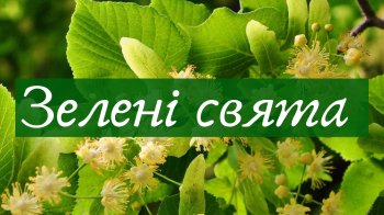 Цвіт липи