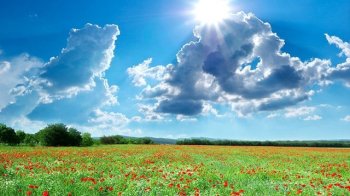 Короткочасні дощі та грози: погода на Львівщині 22 червня