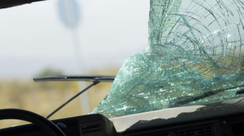 У Львові власник Volvo відсудив гроші за падіння дерева на авто