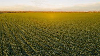 Суд стягнув користь Моршинської громади понад 1 млн грн з підприємства